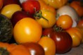 /album/my-left-coast-garden/img-3632-jpg/